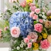 Buy Blush Wildflower