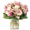 Bouquet My Fair Lady Online