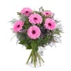 Bouquet of Gerbera Daisies Online