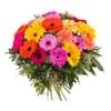Bouquet of multicoloured Gerbera Daisies Online