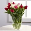 Bouquet of White and Red Tulips Online