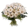 Bouquet of White Gerbera Daisies Online