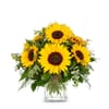 Bouquet Sunflowers Pure Online