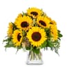 Bouquet Sunflowers Pure Online