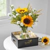 Buy Brighten Dad's Day