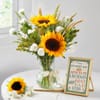 Brighten Dad's Day Online