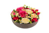 Celebrate 250335 Online