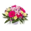 Centrepiece of Fuchsia Gerbera Daisies Online