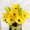 Buy Cheerful Optimism