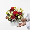 Christmas Arrangement Online