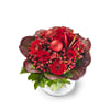 Christmas Bouquet Noella Online
