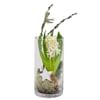 Christmas scent Online