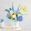 Gift Cloud-Kissed Symphony