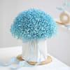 Cloudy Bliss Blue Gypso Arrangement Online