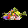 Colour splendor Online