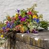 Colour splendor Online