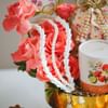 Gift Coral Radiance