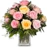 Cordial Rose Greeting Online