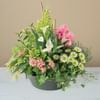 Delicates pensees Online