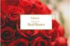 Deluxe Bouquet of Red Roses Online