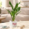 Gift Diwali Blessings & Abundance Plant Gift - Set of 2