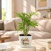 Gift Diwali Green Wishes Trio - Set of 3