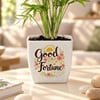 Buy Diwali Green Wishes Trio - Set of 3