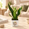 Shop Diwali Green Wishes Trio - Set of 3