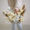 Shop Dream Weaver