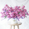 Gift Dreaming of Lilac