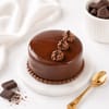 Buy Enchanted Mini Cake & Flowers Hamper