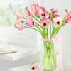 Buy Ethereal in Pink