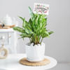 Gift Evergreen Bonds