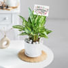 Buy Evergreen Bonds