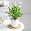 Shop Evergreen Bonds