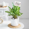 Evergreen Bonds Online