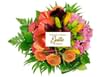 Exotica Online