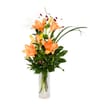 Father's Day Surprise Online