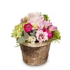 Fleurop Flower arrangement Sweet Spring Melody Online