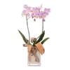 Floral arrangement with pink orchid Online