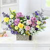 Gift Floral Sorbet