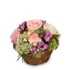 Flower arrangement 'A Basket full of Poetry with Roses'