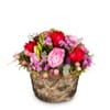 Flower arrangement Delicate Spring Creation Online