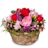 Flower arrangement Delicate Spring Creation Online