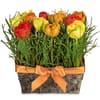 Flower arrangement Happy tulip meadow Online