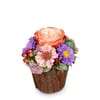 Flower arrangement 'Little Surprise' Online