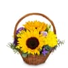 Flower arrangement 'Power of Summer' Online
