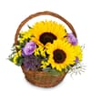 Flower arrangement 'Power of Summer' Online