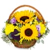 Flower arrangement 'Power of Summer' Online