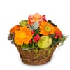 Flower arrangement Pure Spring Online
